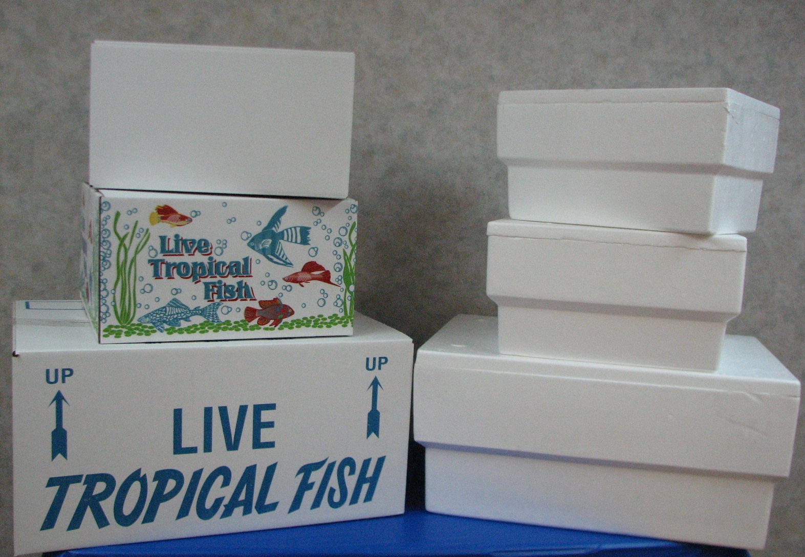 Speedling Incorporated Boxes Speedling Incorporated